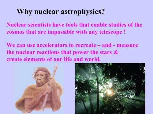 Network of Nuclear Process in Astrophysics