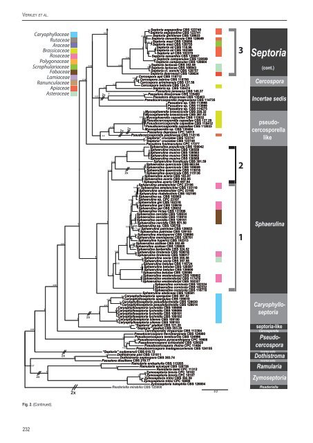 A new approach to species delimitation in Septoria - CBS - KNAW