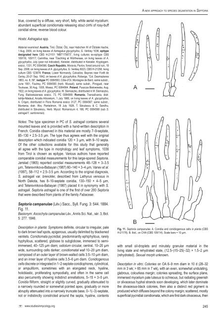 A new approach to species delimitation in Septoria - CBS - KNAW