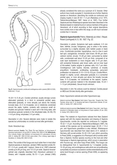 A new approach to species delimitation in Septoria - CBS - KNAW