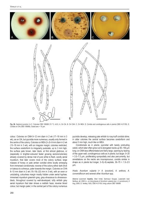 A new approach to species delimitation in Septoria - CBS - KNAW