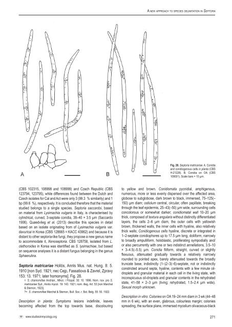 A new approach to species delimitation in Septoria - CBS - KNAW