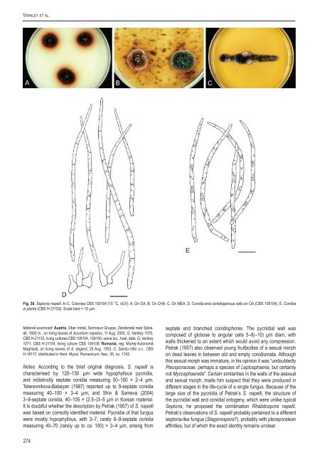 A new approach to species delimitation in Septoria - CBS - KNAW