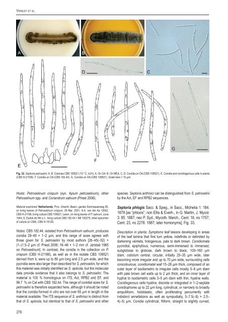 A new approach to species delimitation in Septoria - CBS - KNAW