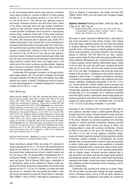 A new approach to species delimitation in Septoria - CBS - KNAW