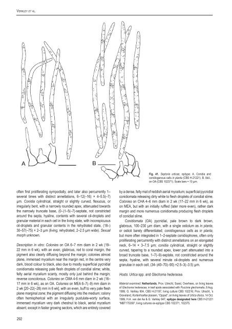 A new approach to species delimitation in Septoria - CBS - KNAW