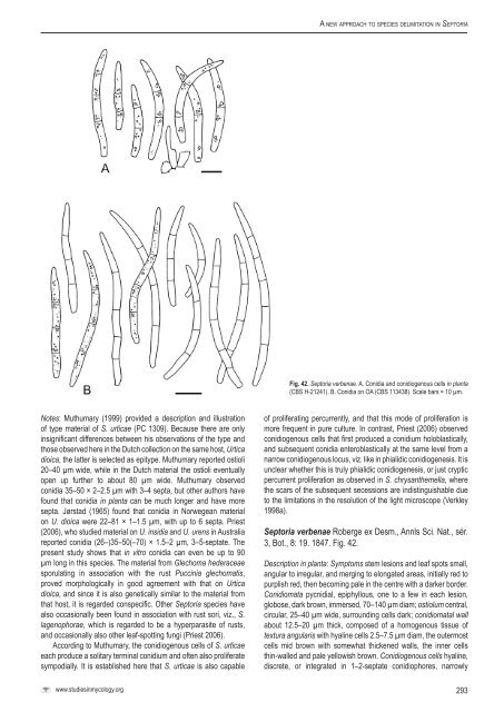 A new approach to species delimitation in Septoria - CBS - KNAW