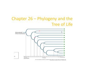 Chapter 26 â Phylogeny and the Tree of Life