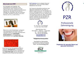 PZR - Flyer