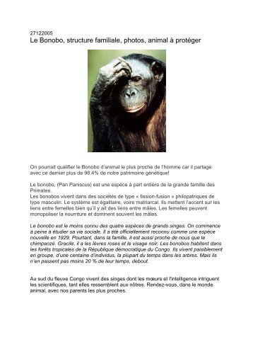 Le Bonobo, structure familiale, photos, animal Ã  protÃ©ger - Canalblog