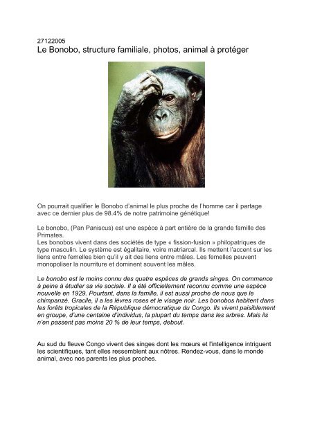 Le Bonobo, structure familiale, photos, animal Ã  protÃ©ger - Canalblog