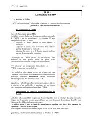 TP11 - structure ADN.. - G. Furelaud