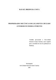 rafael brehm da costa propriedades mecânicas do ... - UFSC