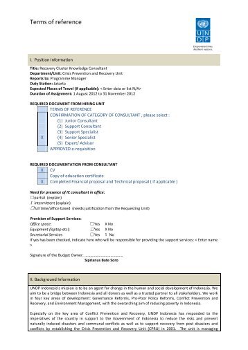 Terms of reference - UNDP
