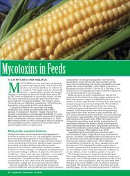 Mycotoxins in Feed