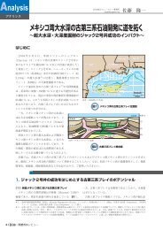 メキシコ湾大水深の古第三系石油開発に道を拓く - JOGMEC 石油・天然 ...