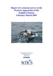Report of a cetacean survey in the Western Approaches of the ...