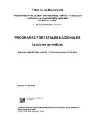 PROGRAMAS FORESTALES NACIONALES - CEDAF