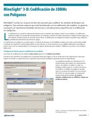 MineSightÂ® 3-D: CodificaciÃ³n de 3DBMs con PolÃ­gonos