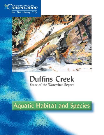 Duffins Creek - Toronto and Region Conservation Authority