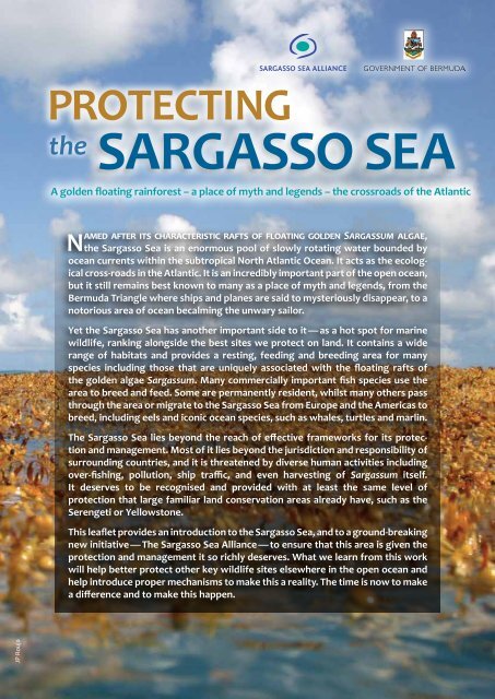 Sargasso Sea Facts - Convention on Biological Diversity