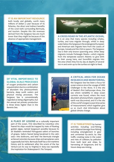 Sargasso Sea Facts - Convention on Biological Diversity