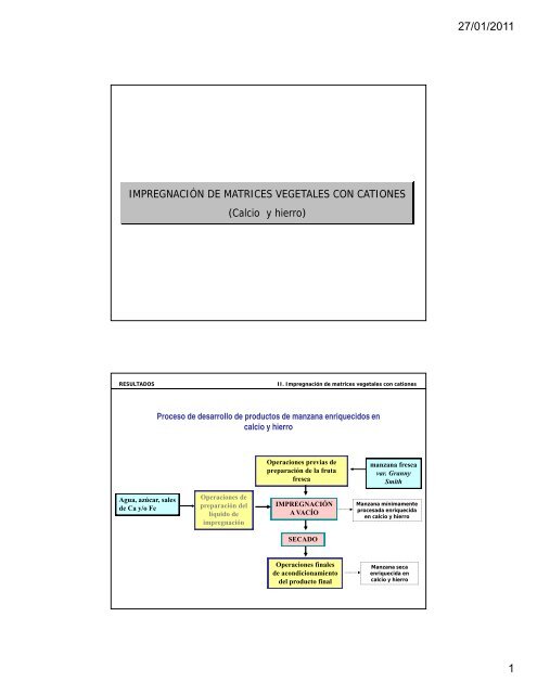 IMPREGNACIÓN DE MATRICES VEGETALES CON CATIONES ...