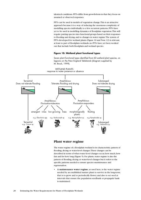 Estimating the Water Requirements for Plants of Floodplain Wetlands