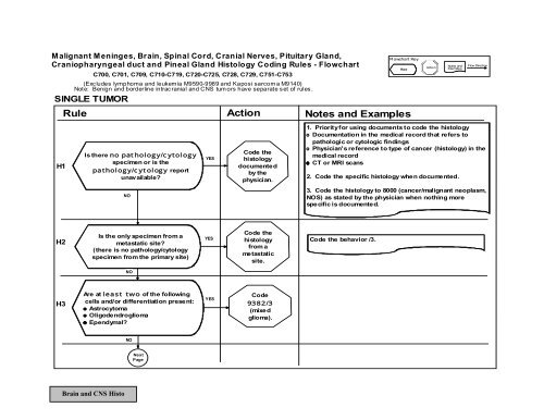 Histology Flow Chart