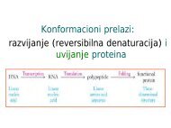 Uvijanje i razvijanje proteina