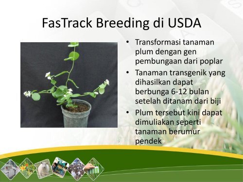 Penelitian Bioteknologi dan Marka Molekuler untuk ... - Hortikultura