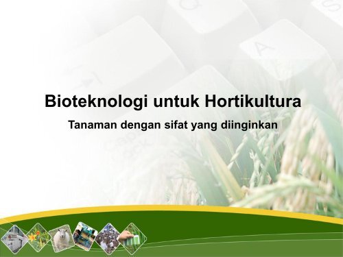 Penelitian Bioteknologi dan Marka Molekuler untuk ... - Hortikultura