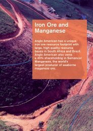 Iron Ore and Manganese - Anglo American