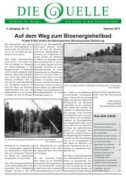 Die Quelle - Nr. 12 - Bioenergie-Heilbad Bad Alexandersbad GmbH