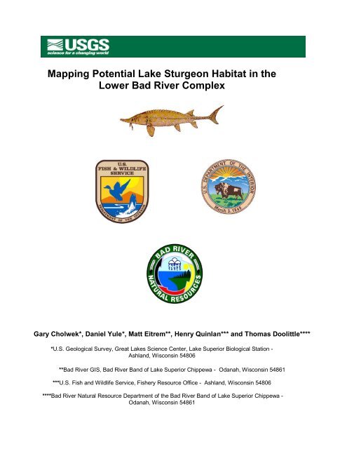 Mapping Potential Lake Sturgeon Habitat in the ... - BioSonics, Inc