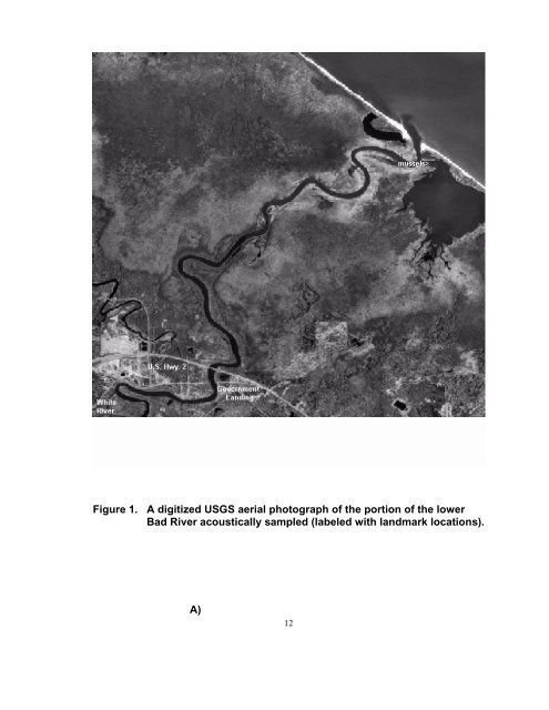 Mapping Potential Lake Sturgeon Habitat in the ... - BioSonics, Inc