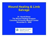 Wound Healing & Limb Salvage - New Jersey Center for Biomaterials