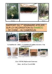 rapport du 1 seminaire-atelier sur la valorisation du bambou