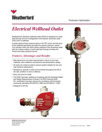 Electrical Wellhead Outlet