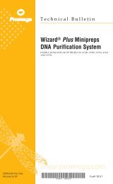 WizardÂ® Plus Minipreps DNA Purification System