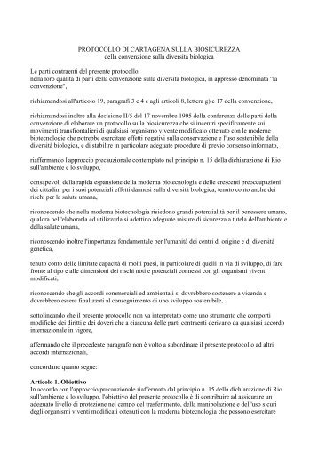 protocollo di cartagena sulla biosicurezza - Cooperazione Italiana ...