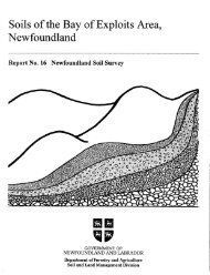 Soils of the Bay of Exploits Area, Newfoundland - Agriculture and ...