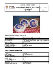 SCHEDE TECNICHE FORMAGGIO BRIE X 1Kg ... - Siqurcatering.it