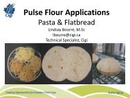 Pasta & Flatbreads - Pulse Canada