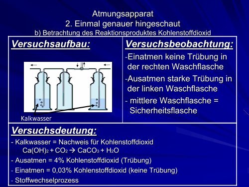 Das kleine 1 x 1 der Biochemie (Stoffkreisläufe) - PS ...