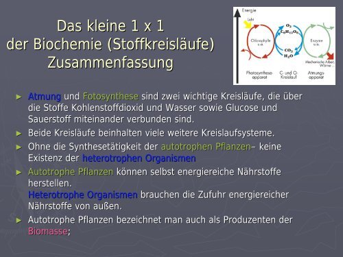 Das kleine 1 x 1 der Biochemie (Stoffkreisläufe) - PS ...