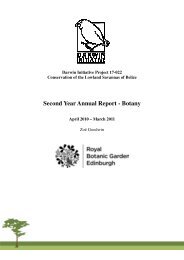 Second Year Annual Report - Botany - Research