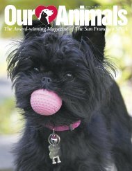 vol. 104, no. 1 fall 2010 - San Francisco SPCA