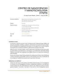 CENTRO DE NANOCIENCIAS Y NANOTECNOLOGÃA (CNyN))