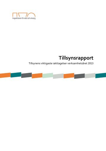 tillsynens-viktigaste-iakttagelser-verksamhetsaret-2013